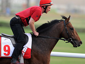 Singapore Stakes Attracts California Memory Singapore Stakes Attracts California Memory