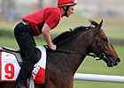 Singapore Stakes Attracts California Memory Singapore Stakes Attracts California Memory