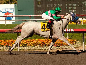 Zazu Takes Rail to Brave Hollywood Oaks Win Zazu Takes Rail to Brave Hollywood Oaks Win