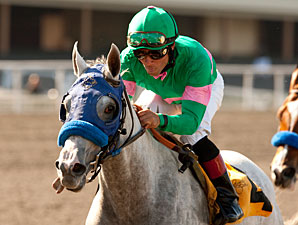 Zazu to Miss BC Ladies' Classic Zazu to Miss BC Ladies' Classic
