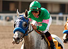 Zazu to Miss BC Ladies' Classic