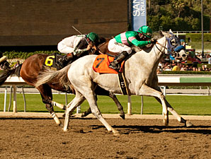 Zazu Peaks in Lady's Secret; Blind Luck Last Zazu Peaks in Lady's Secret; Blind Luck Last