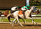 Zazu Peaks in Lady's Secret; Blind Luck Last Zazu Peaks in Lady's Secret; Blind Luck Last