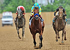 Zayat's Zee Bros Gears Up for Golden Shaheen Zayat's Zee Bros Gears Up for Golden Shaheen