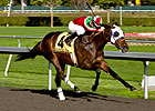 California Derby: Zeewat Looks Tough to Beat California Derby: Zeewat Looks Tough to Beat
