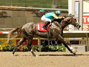 Zensational Bolts to O'Brien Win; 'Cup Next Zensational Bolts to O'Brien Win; 'Cup Next