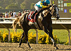 Zensational Zaps Bing Crosby Rivals Zensational Zaps Bing Crosby Rivals