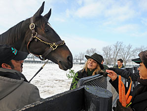 Zenyatta Walks, Jogs, Runs (with Video) Zenyatta Walks, Jogs, Runs (with Video)