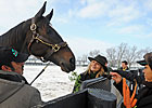 Zenyatta Walks, Jogs, Runs (with Video) Zenyatta Walks, Jogs, Runs (with Video)
