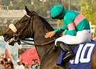 Zenyatta Gets a Free Ride to the Donn Zenyatta Gets a Free Ride to the Donn