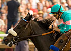 Zenyatta-Rachel Alexandra Match Race Proposed Zenyatta-Rachel Alexandra Match Race Proposed