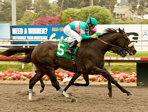 Zenyatta Stands Alone With Record 17th Win Zenyatta Stands Alone With Record 17th Win