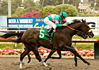 Zenyatta Stands Alone With Record 17th Win