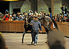 Zenyatta's Keeneland Appearance