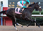 Zenyatta Makes it 16-for-16 in Apple Blossom