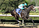 Zenyatta Blows Away Apple Blossom Foes Zenyatta Blows Away Apple Blossom Foes