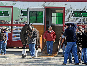 Top Mare Zenyatta Arrives at Churchill Downs Top Mare Zenyatta Arrives at Churchill Downs