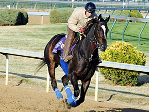 Sherriffs: Zenyatta 'Obviously Likes' Surface Sherriffs: Zenyatta 'Obviously Likes' Surface