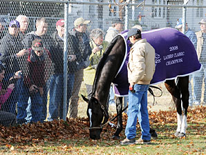 Zenyatta's Appearance Delayed by Two Hours Zenyatta's Appearance Delayed by Two Hours