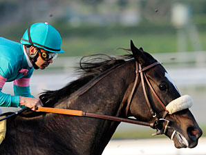 Zenyatta Second in AP Female Athlete Vote Zenyatta Second in AP Female Athlete Vote