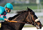 Zenyatta Reclaims Top Spot in Poll by a Nose Zenyatta Reclaims Top Spot in Poll by a Nose