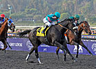 Fans to Vote on Racing's Moment of the Year
