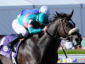 Zenyatta Headed for Louisville Distaff Zenyatta Headed for Louisville Distaff
