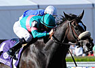 Zenyatta Headed for Louisville Distaff Zenyatta Headed for Louisville Distaff