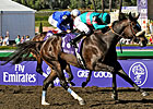 Run the Bluegrass Race Honors Zenyatta Run the Bluegrass Race Honors Zenyatta