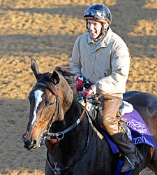 Baffert: HOY for Zenyatta Only if She Wins