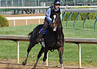 Zenyatta May Not Run on Oaks Undercard
