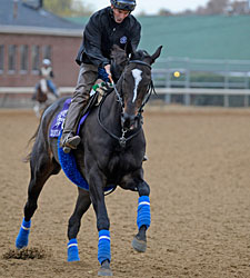 All Zenyatta All the Time at Churchill All Zenyatta All the Time at Churchill