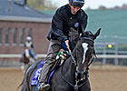 All Zenyatta All the Time at Churchill