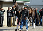 Classic Field, Zenyatta in 8 Post Classic Field, Zenyatta in 8 Post