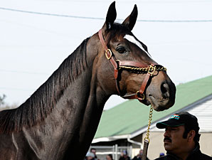 Visit With Zenyatta to Benefit CKRH Visit With Zenyatta to Benefit CKRH