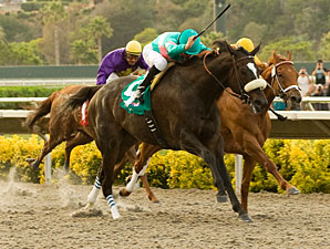 Zenyatta Streak at 18 With Hirsch Three-Peat Zenyatta Streak at 18 With Hirsch Three-Peat