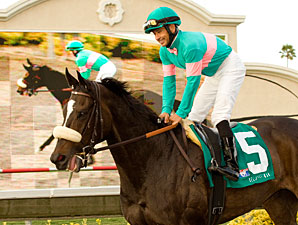 Zenyatta Works, Ready for Lady's Secret Zenyatta Works, Ready for Lady's Secret