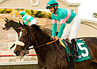 Zenyatta Works An Easy Four Furlongs Zenyatta Works An Easy Four Furlongs