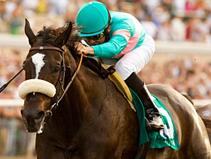 Switch In, But Zenyatta Stands Out in 'Secret Switch In, But Zenyatta Stands Out in 'Secret