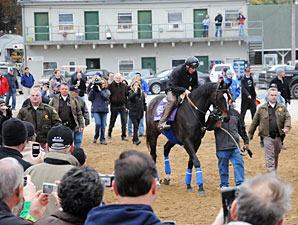 Haskin's BC Report: Hello, Zenyatta Haskin's BC Report: Hello, Zenyatta