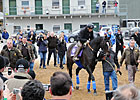 Haskin's BC Report: Hello, Zenyatta Haskin's BC Report: Hello, Zenyatta