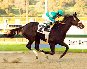 Zenyatta Stings El Encino Rivals Zenyatta Stings El Encino Rivals