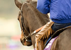 Zenyatta, John Henry Honored on Opening Day Zenyatta, John Henry Honored on Opening Day