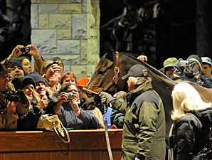 Zenyatta's Fans Brave the Cold for Send-off Zenyatta's Fans Brave the Cold for Send-off