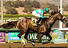 Zenyatta After 13th Straight in Lady's Secret