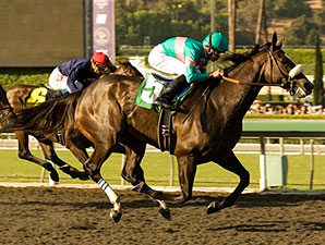 Zenyatta Stakes Changed Back to Lady's Secret Zenyatta Stakes Changed Back to Lady's Secret