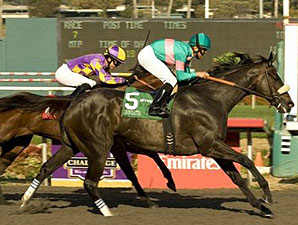 19 Down, One Big One to Go for Zenyatta 19 Down, One Big One to Go for Zenyatta