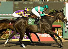 19 Down, One Big One to Go for Zenyatta 19 Down, One Big One to Go for Zenyatta