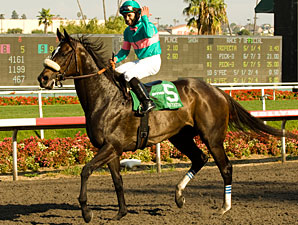 Zenyatta Drills Seven Furlongs at Hollywood Zenyatta Drills Seven Furlongs at Hollywood