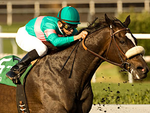 Zenyatta Appreciation Day at Hollywood Dec. 5 Zenyatta Appreciation Day at Hollywood Dec. 5